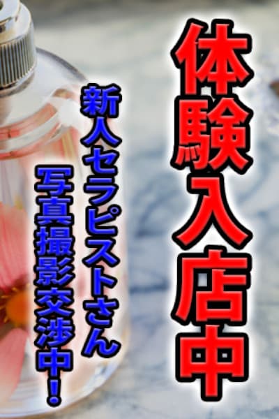 美波 はいと