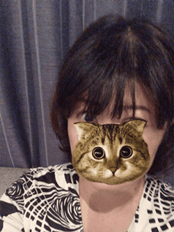 ミイ