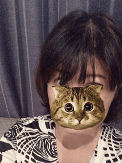 ミイ