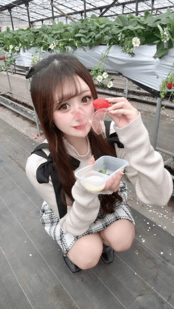よつは