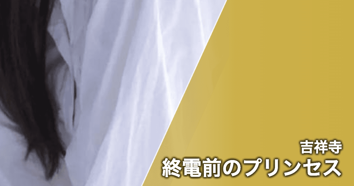 終電前のプリンセス