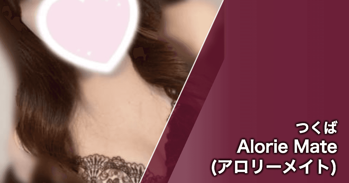 Alorie Mate (アロリーメイト)